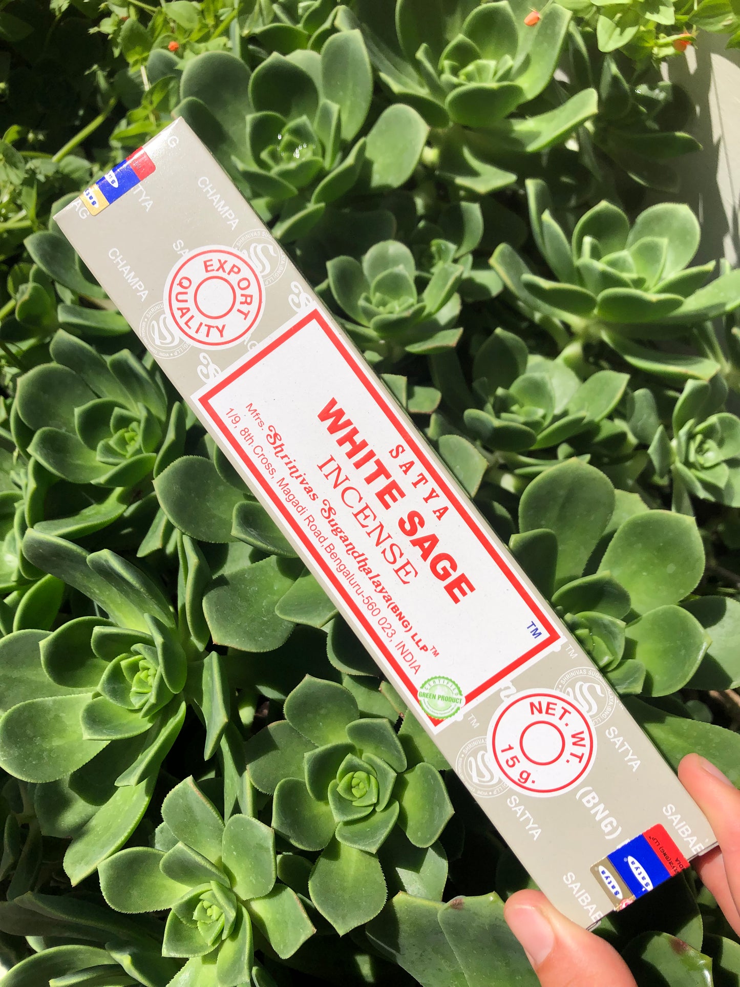 Satya White Sage Incense Sticks