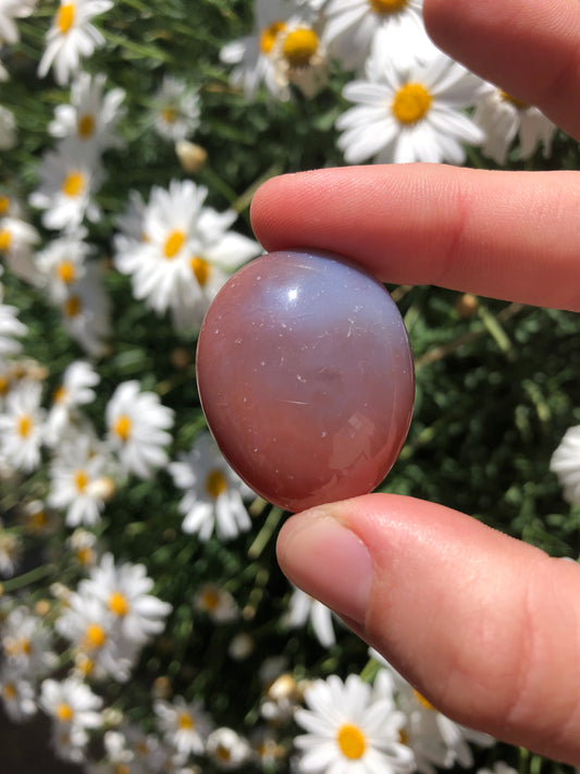 Unique Orca Agate Stone