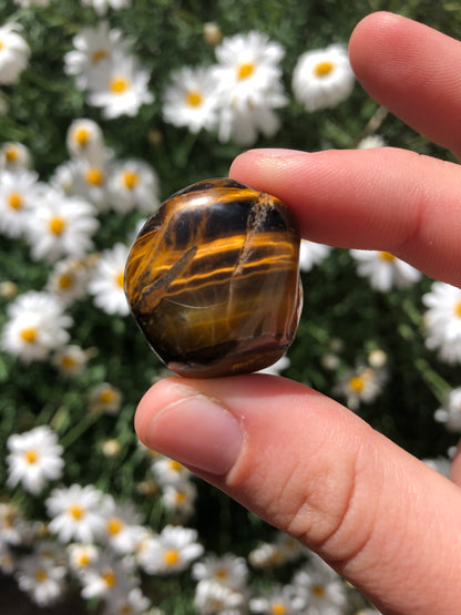 Tiger Eye Stone