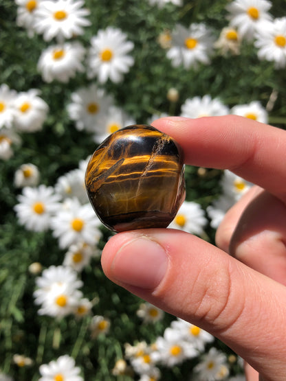 Tiger Eye Stone