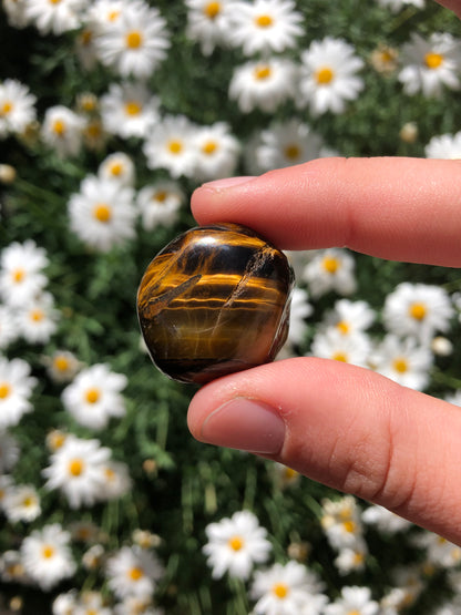 Tiger Eye Stone