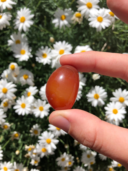 Red Agate Stone