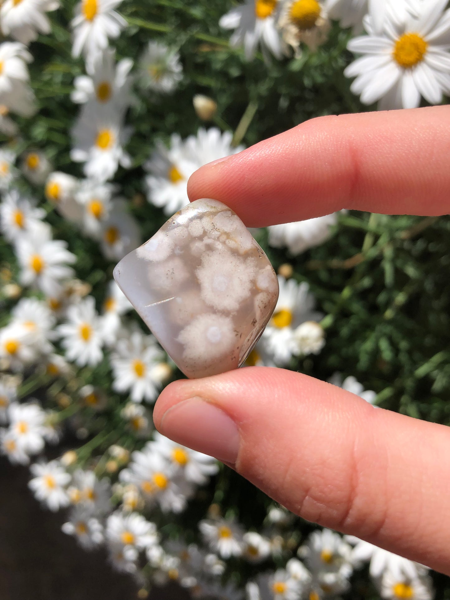 Flower Agate Stone