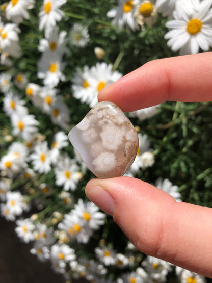 Flower Agate Stone