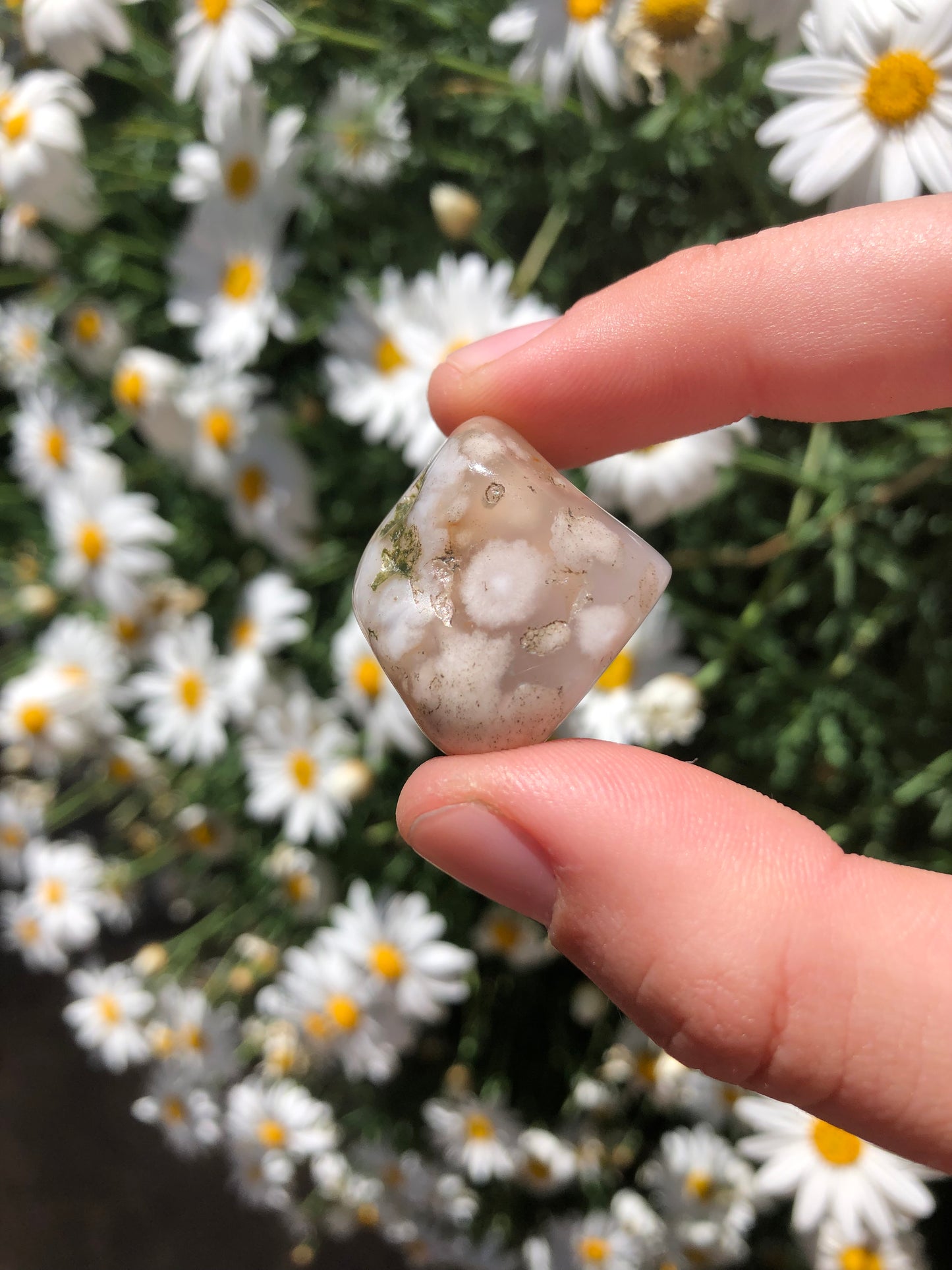 Flower Agate Stone