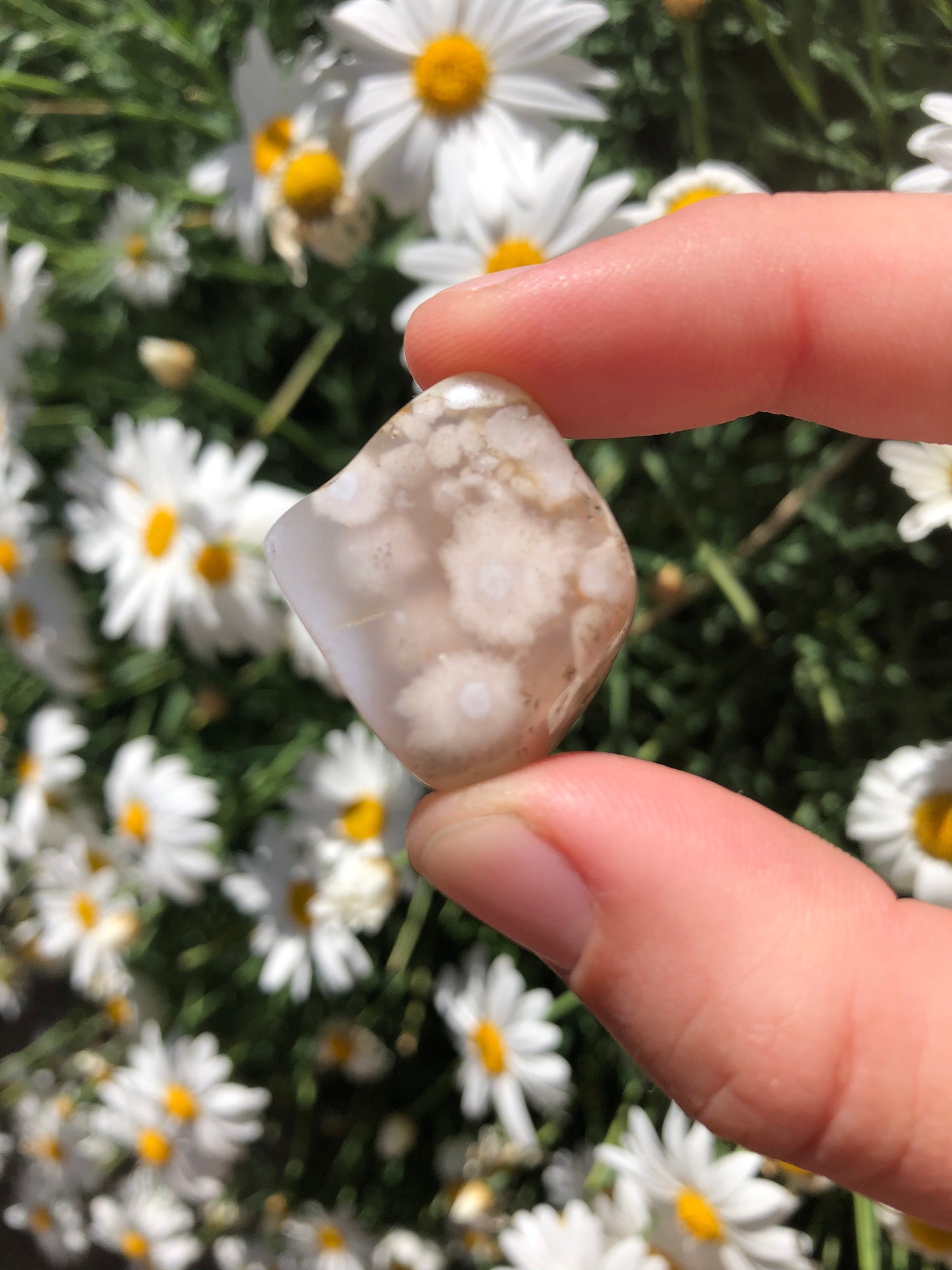 Flower Agate Stone