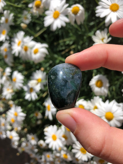 Kambaba Jasper Stone