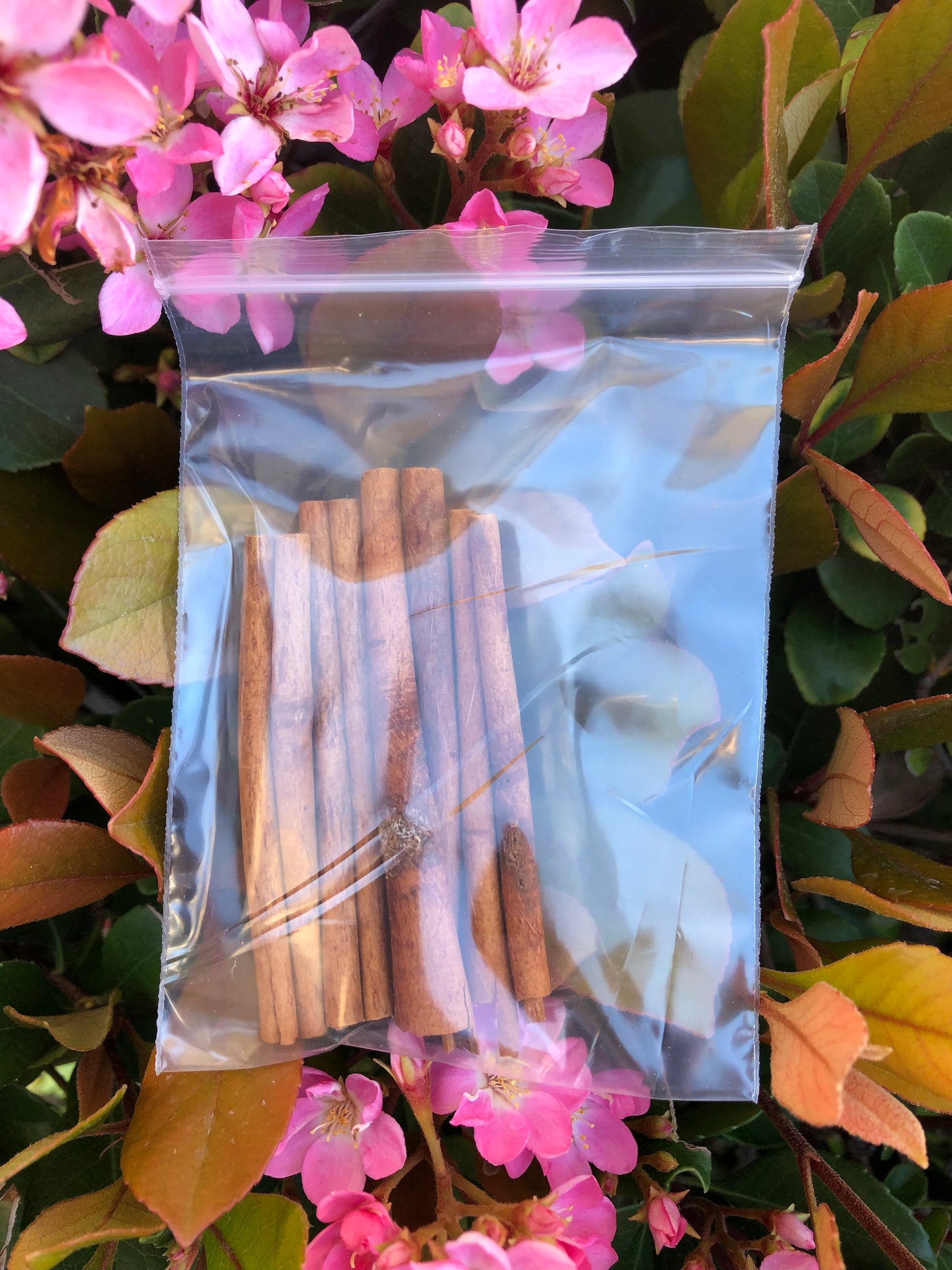 Cinnamon Sticks