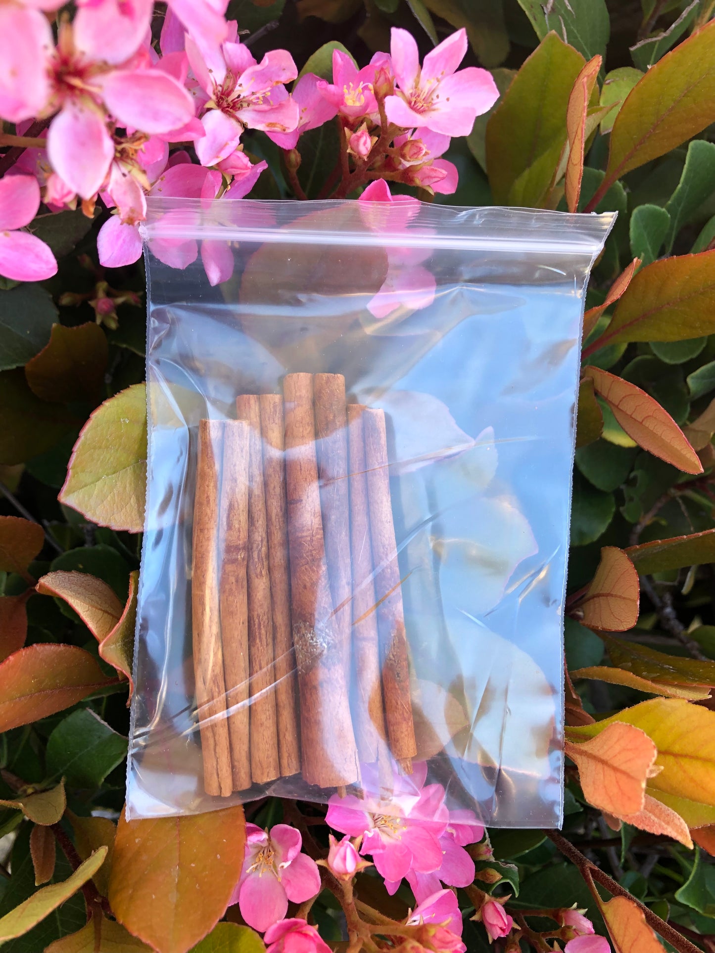 Cinnamon Sticks