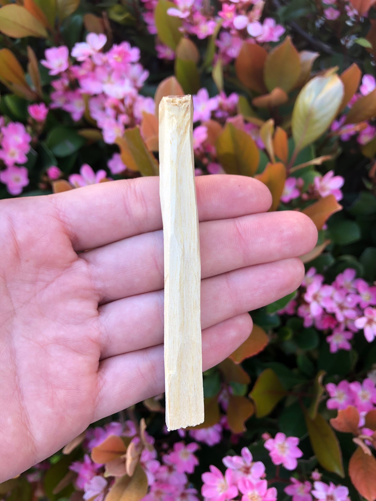 Palo Santo Smudge Stick