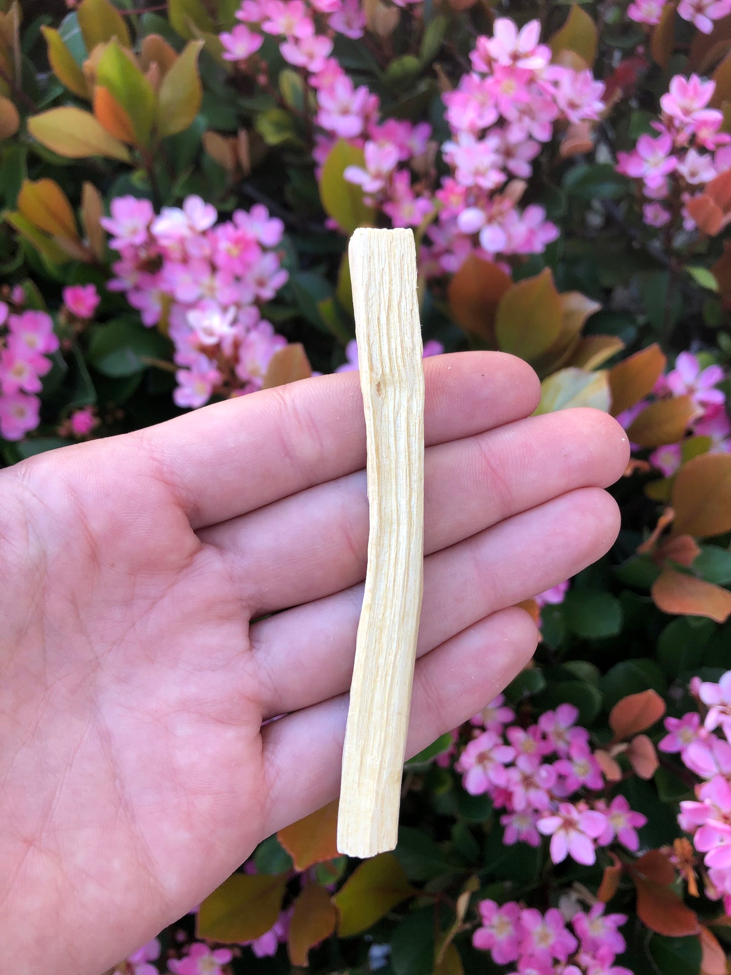 Palo Santo Smudge Stick