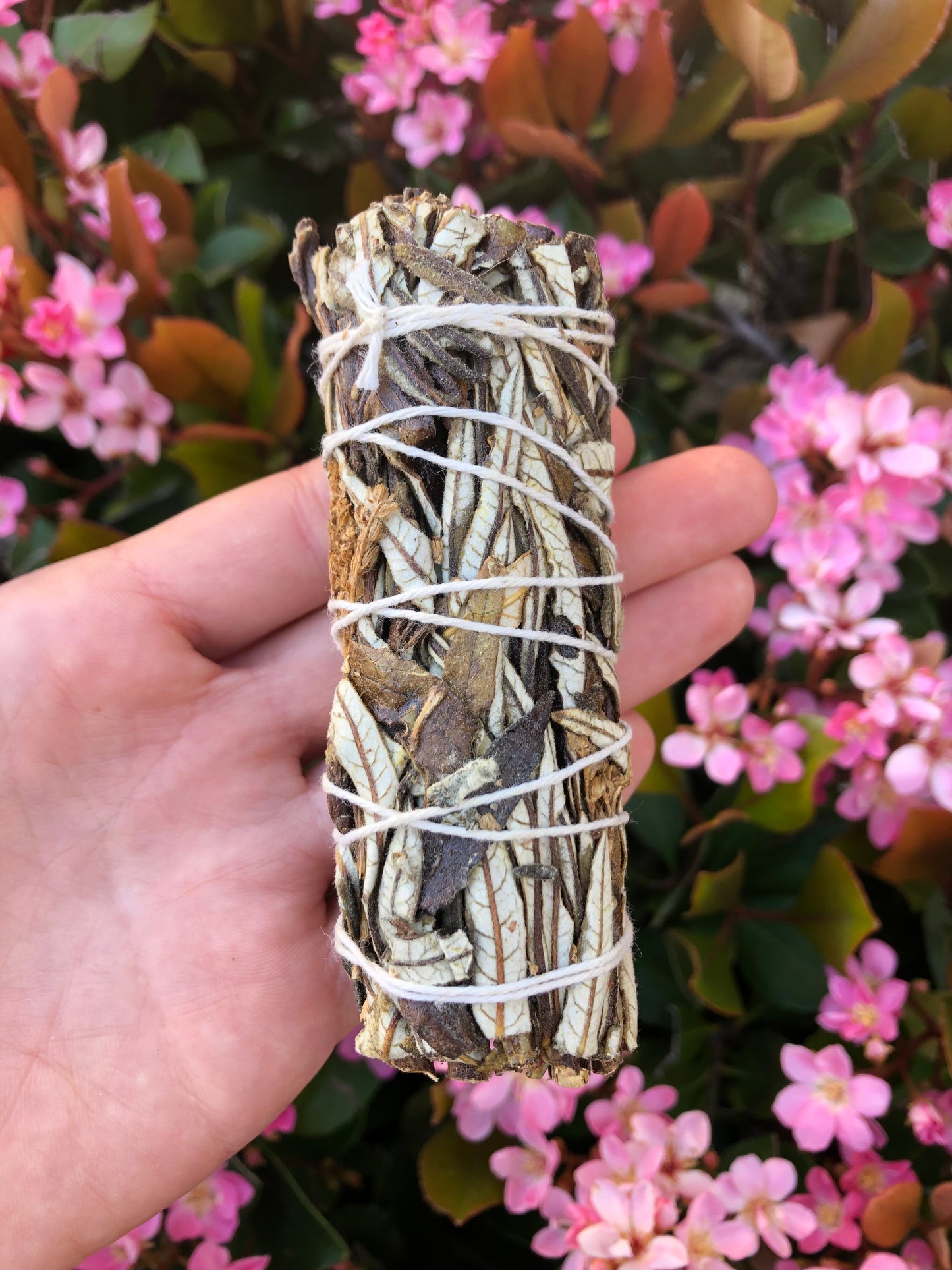 Yerba Santa Smudge Stick