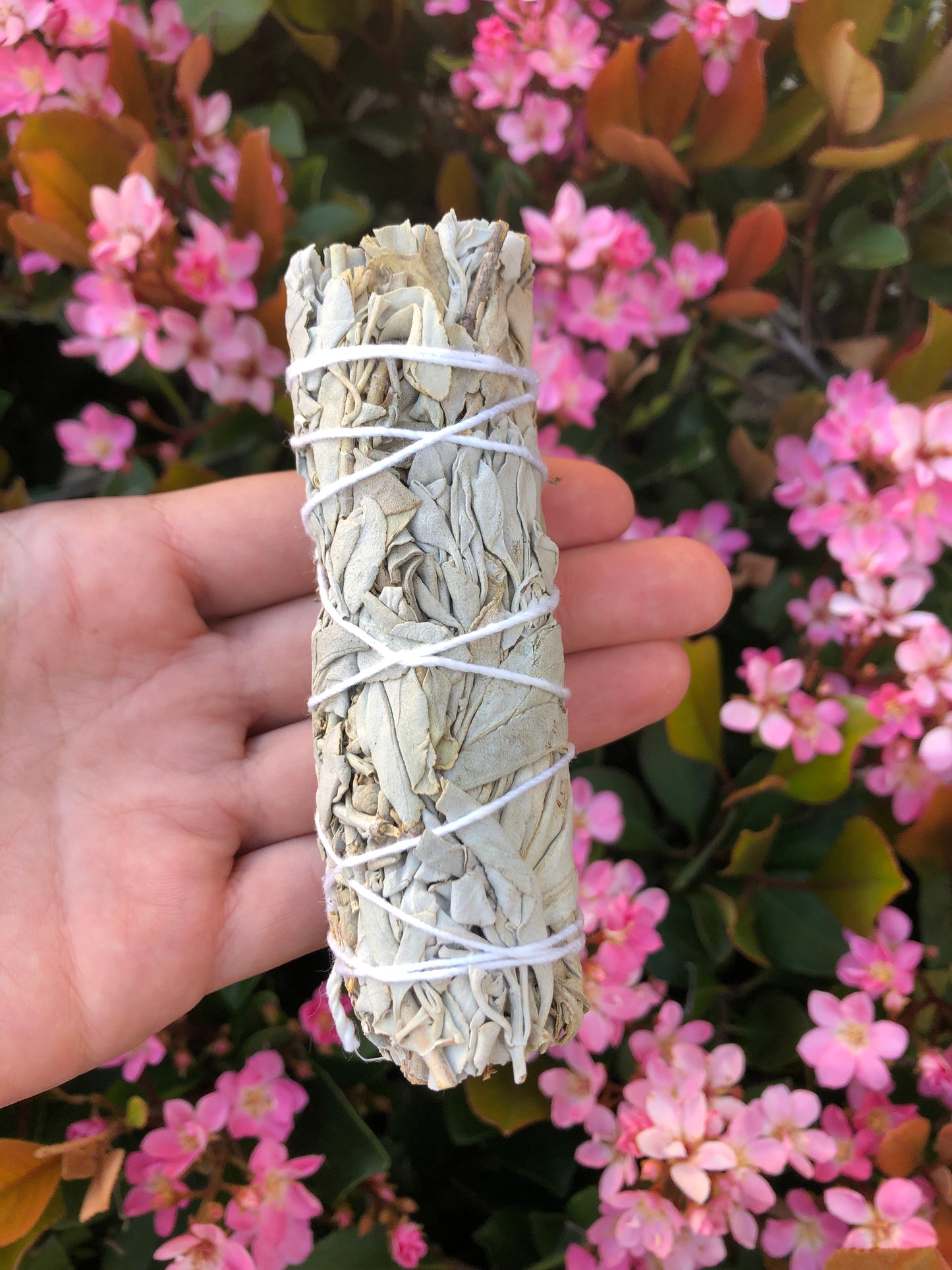 White Sage Smudge Stick