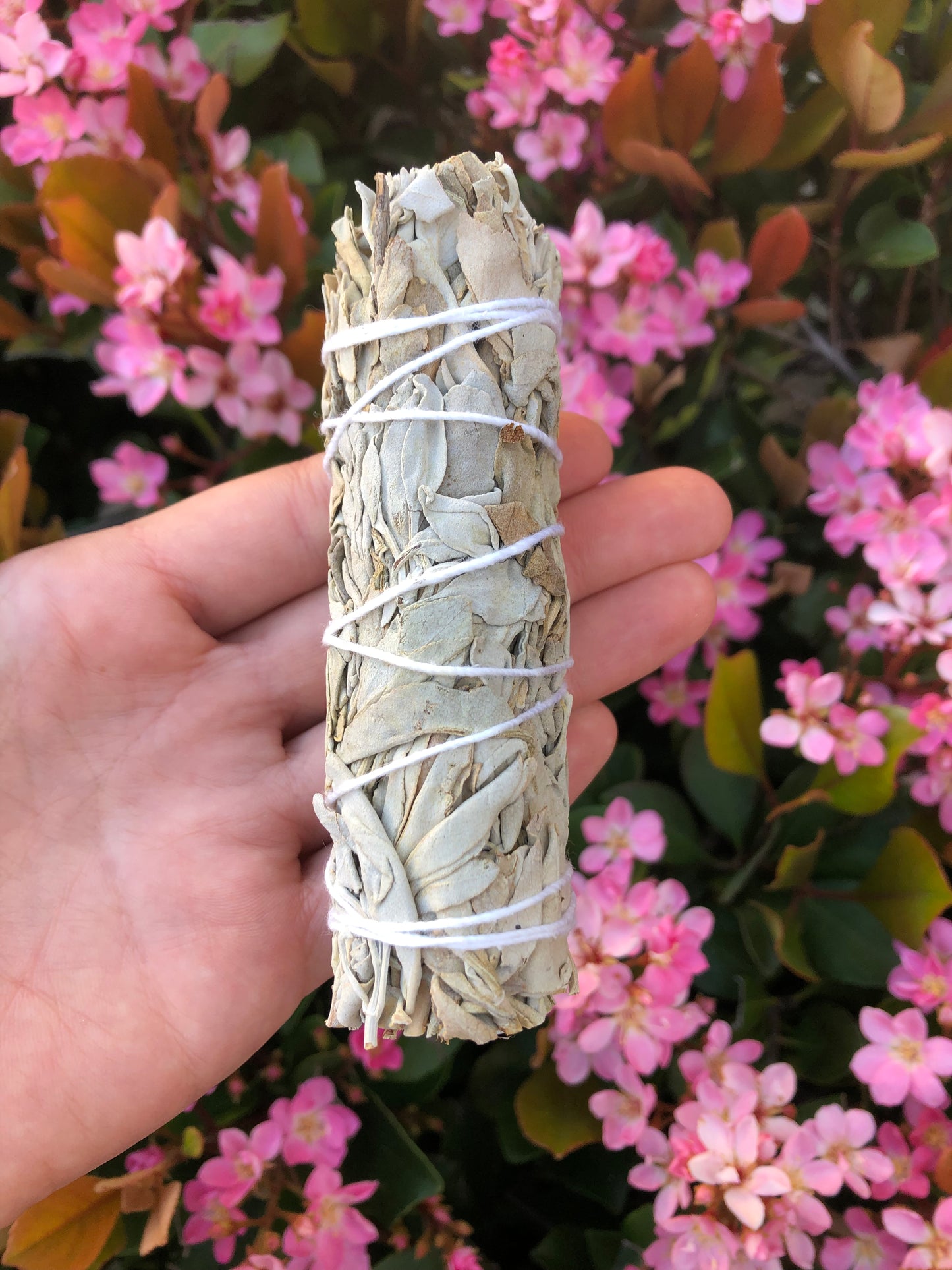 White Sage Smudge Stick