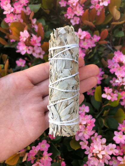 White Sage Smudge Stick