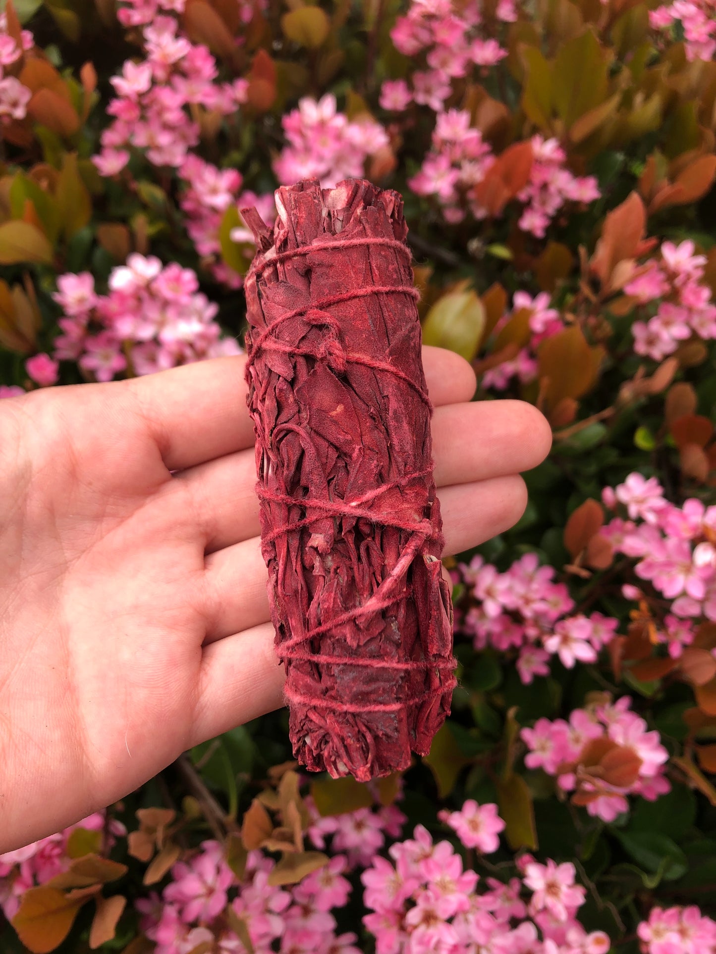 Dragon's Blood Sage Smudge Stick