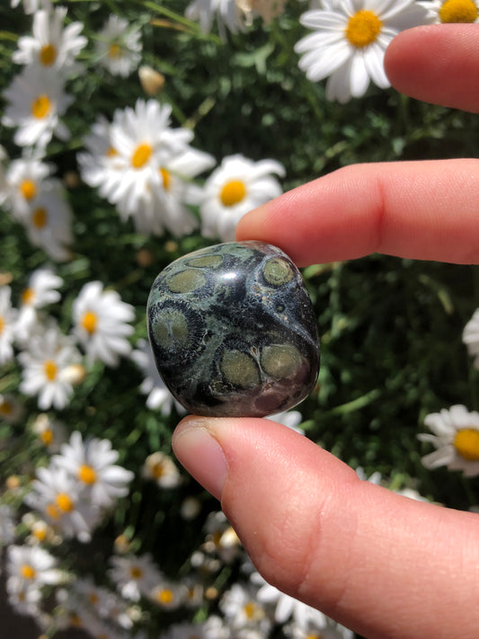 Kambaba Jasper Stone