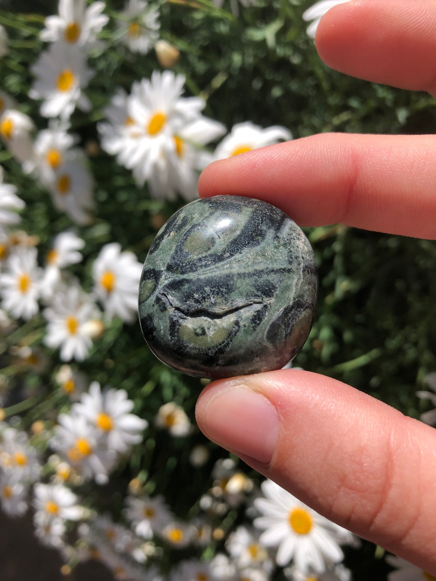 Kambaba Jasper Stone