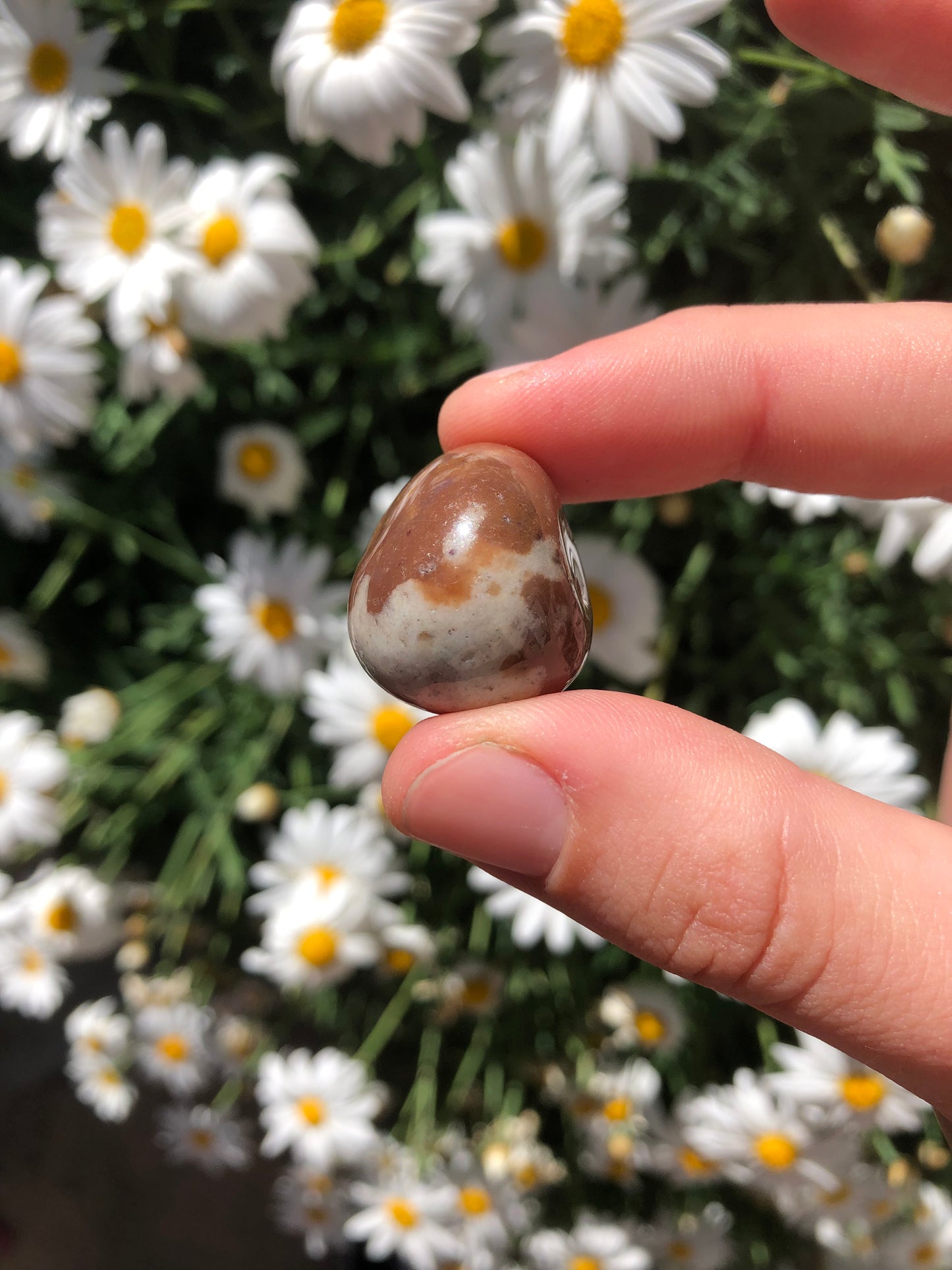 Ocean Jasper Stone