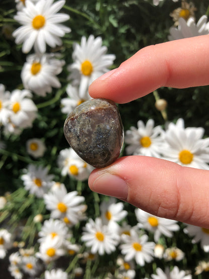 Ocean Jasper Stone