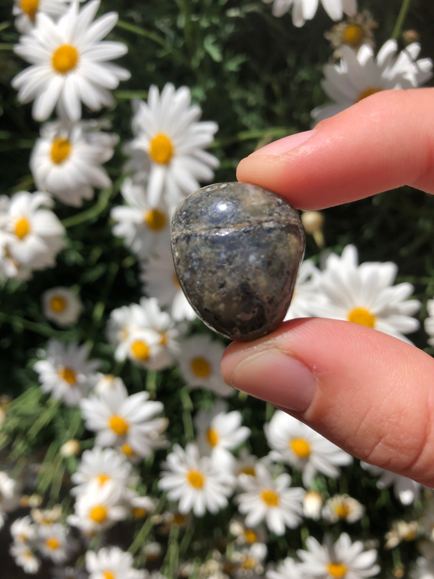 Ocean Jasper Stone