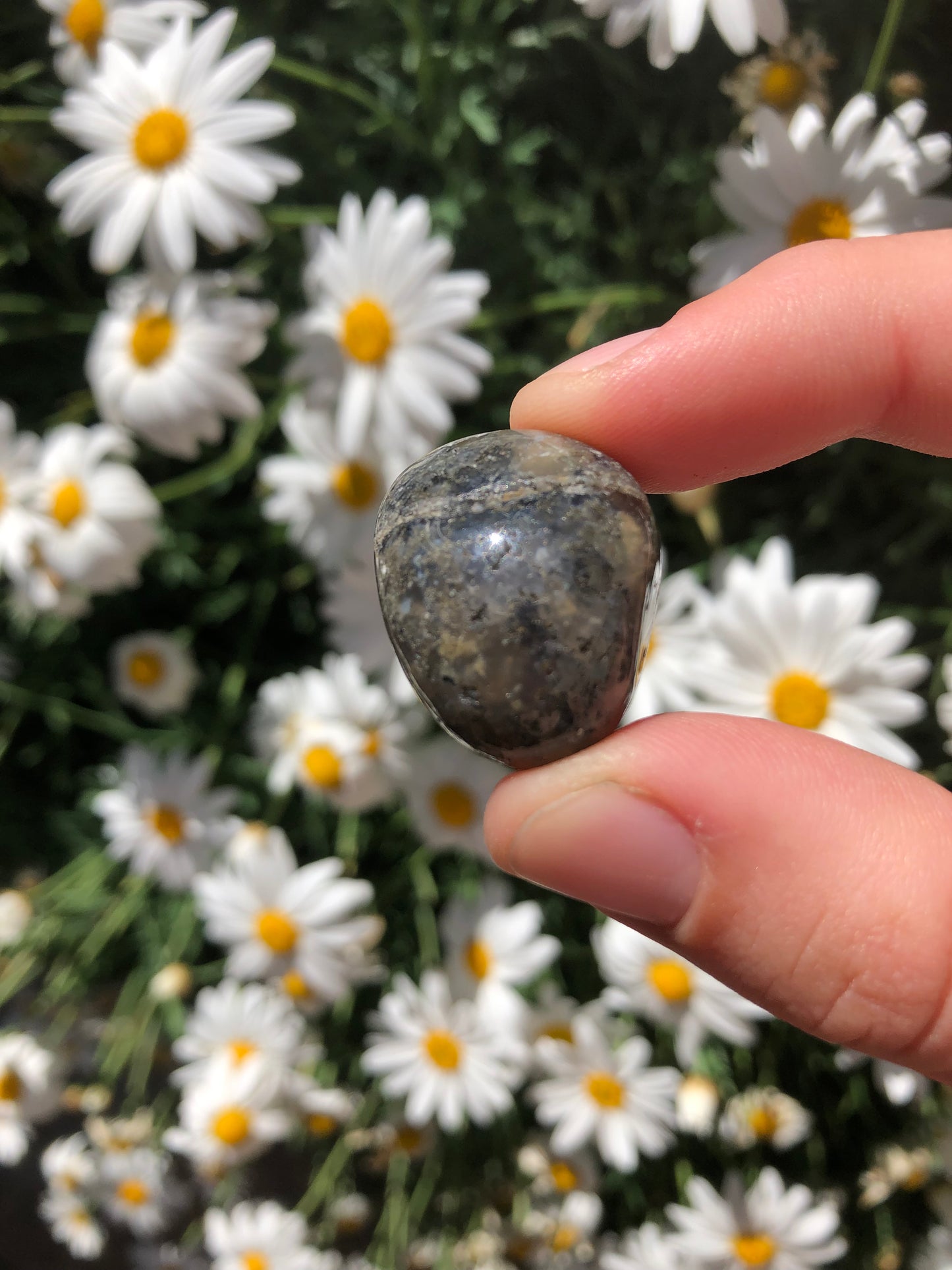 Ocean Jasper Stone