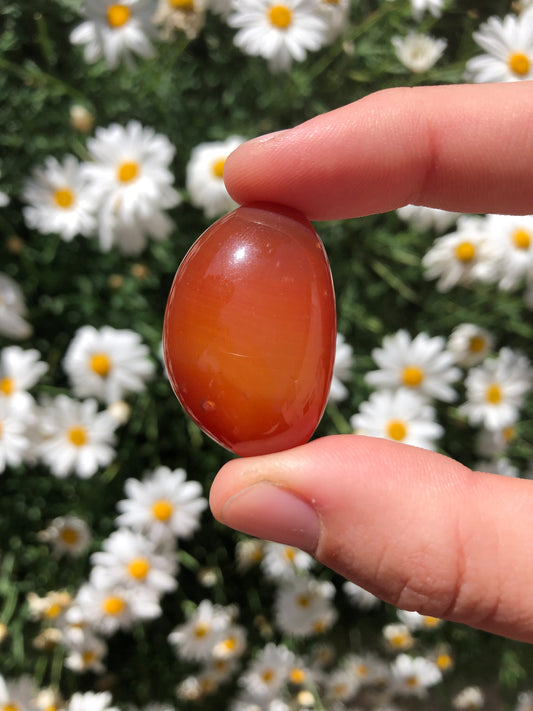 Red Agate Stone