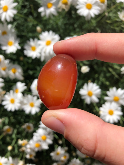 Red Agate Stone