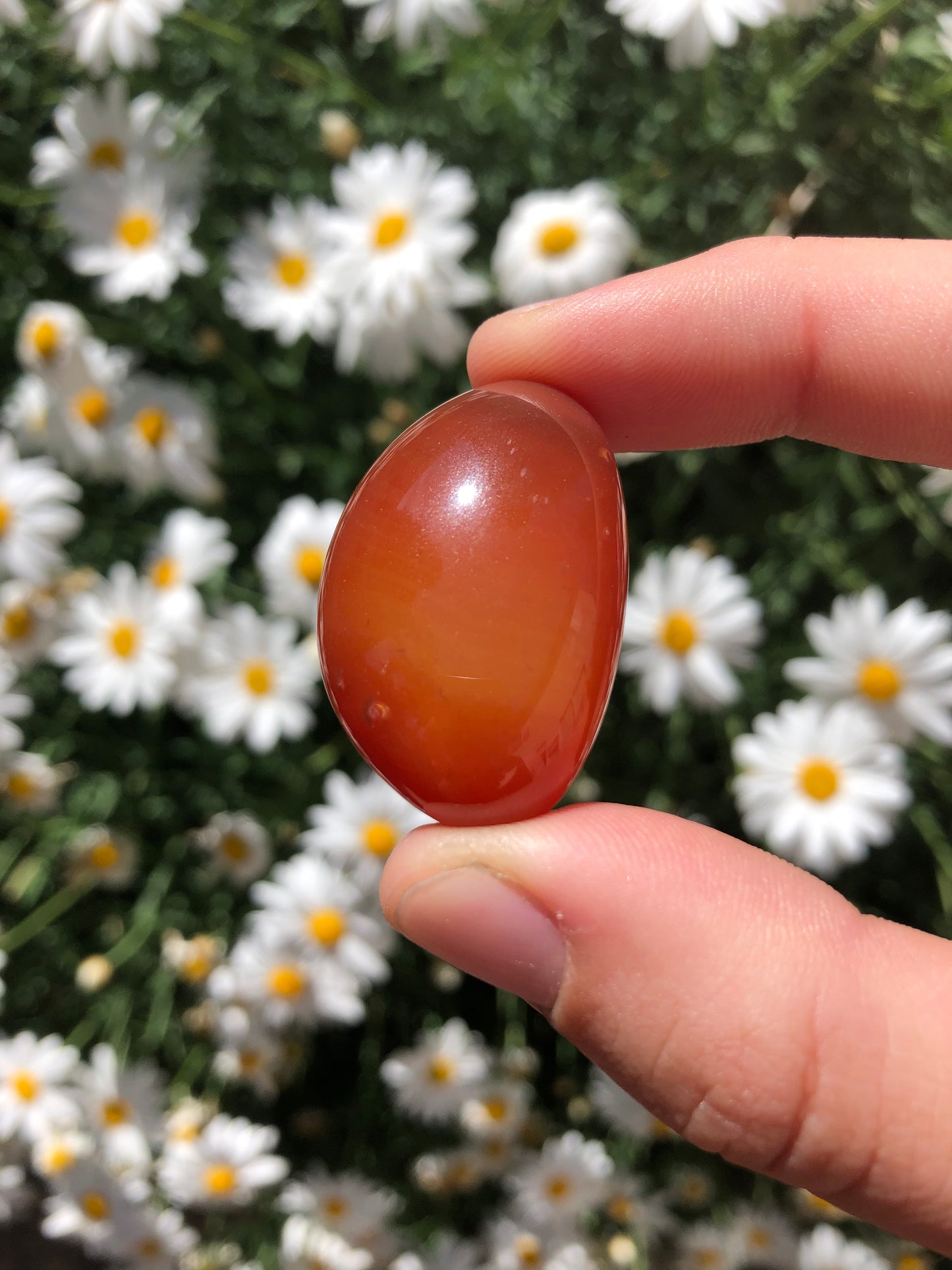 Red Agate Stone