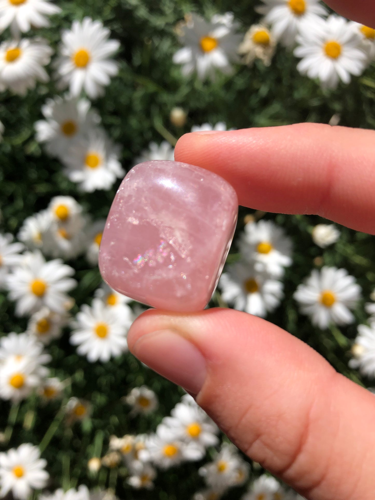 Rose Quartz Stone