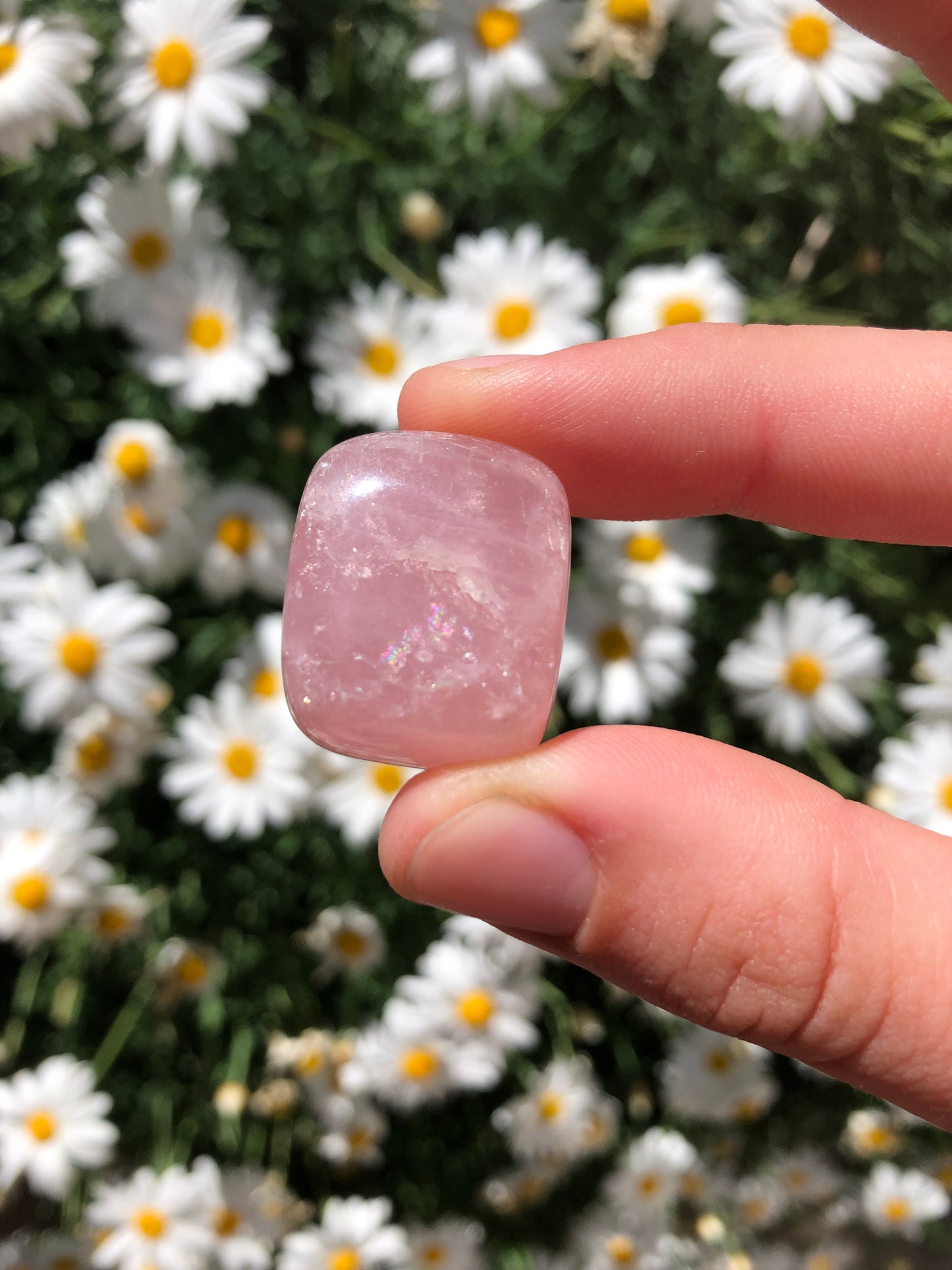 Rose Quartz Stone